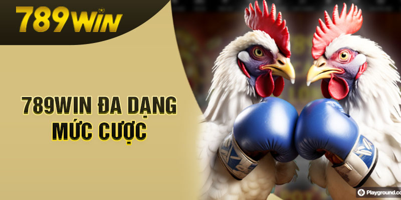 Đá gà 789WIN với đa dạng mức cược