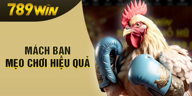 789WIN mách bạn mẹo chơi hiệu quả